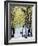 Autumn, Rue De Foyatier Steps to the Place Du Sacre Coeur, Montmartre, Paris, France-Walter Bibikow-Framed Photographic Print