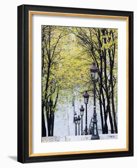 Autumn, Rue De Foyatier Steps to the Place Du Sacre Coeur, Montmartre, Paris, France-Walter Bibikow-Framed Photographic Print