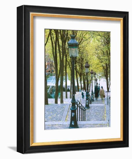 Autumn, Rue De Foyatier Steps to the Place Du Sacre Coeur, Montmartre, Paris, France-Walter Bibikow-Framed Photographic Print