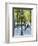 Autumn, Rue De Foyatier Steps to the Place Du Sacre Coeur, Montmartre, Paris, France-Walter Bibikow-Framed Photographic Print