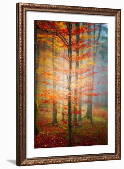 Autumn's End-Philippe Sainte-Laudy-Framed Photographic Print