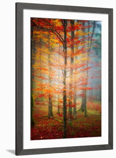 Autumn's End-Philippe Sainte-Laudy-Framed Photographic Print