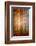 Autumn's End-Philippe Sainte-Laudy-Framed Photographic Print