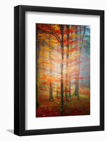 Autumn's End-Philippe Sainte-Laudy-Framed Photographic Print