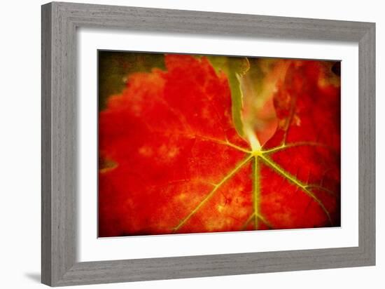 Autumn's Fire-Jessica Rogers-Framed Giclee Print