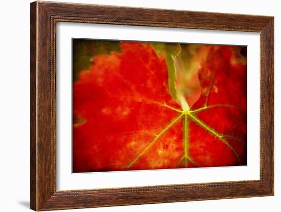 Autumn's Fire-Jessica Rogers-Framed Giclee Print