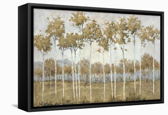 Autumn's Golden Vista-Jill Schultz McGannon-Framed Stretched Canvas