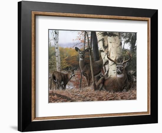 Autumn’s Majesty-Kevin Daniel-Framed Giclee Print