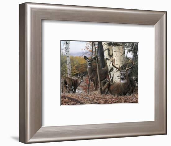 Autumn’s Majesty-Kevin Daniel-Framed Giclee Print