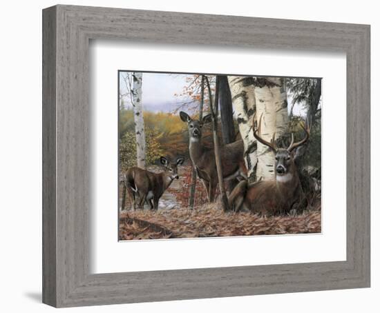 Autumn’s Majesty-Kevin Daniel-Framed Giclee Print