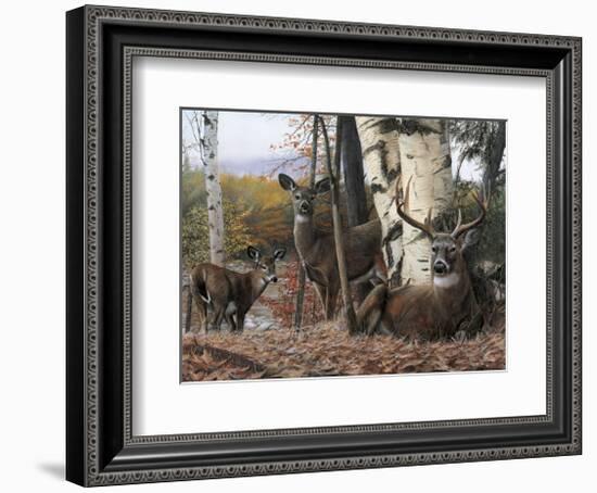 Autumn’s Majesty-Kevin Daniel-Framed Giclee Print