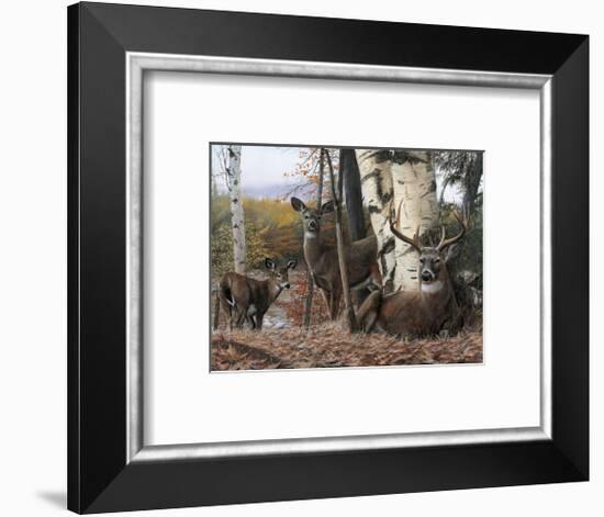 Autumn’s Majesty-Kevin Daniel-Framed Giclee Print