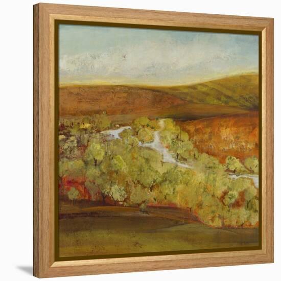 Autumn Saffron II-Jill Martin-Framed Stretched Canvas