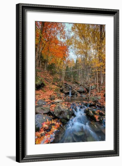 Autumn Scene at Beaver Creek, New Hampshire-Vincent James-Framed Photographic Print