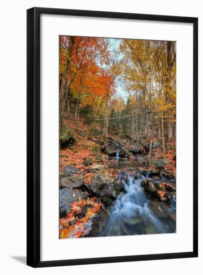 Autumn Scene at Beaver Creek, New Hampshire-Vincent James-Framed Photographic Print