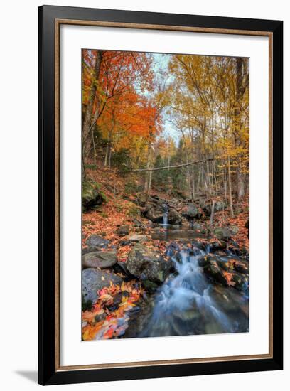 Autumn Scene at Beaver Creek, New Hampshire-Vincent James-Framed Photographic Print