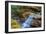 Autumn Scene at Sabbaday Falls, White Mountain New Hampshire-Vincent James-Framed Photographic Print