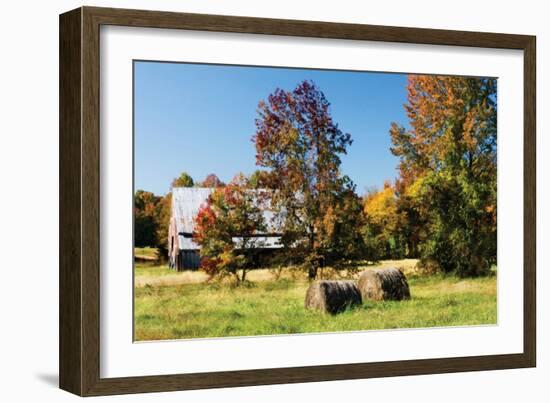 Autumn Scene I-Alan Hausenflock-Framed Photographic Print