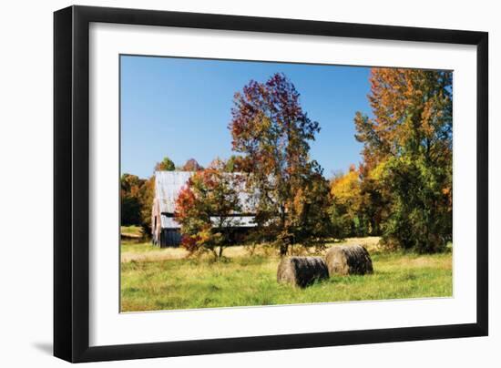 Autumn Scene I-Alan Hausenflock-Framed Photographic Print