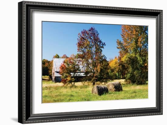 Autumn Scene I-Alan Hausenflock-Framed Photographic Print