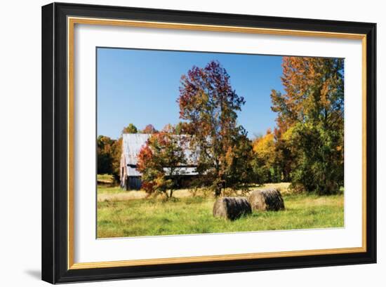 Autumn Scene I-Alan Hausenflock-Framed Photographic Print