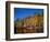 Autumn Scene in Northern Ontario, Canada-null-Framed Photographic Print