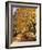 Autumn Scenery, Country Lane, Broad-Leaved Trees-Thonig-Framed Photographic Print