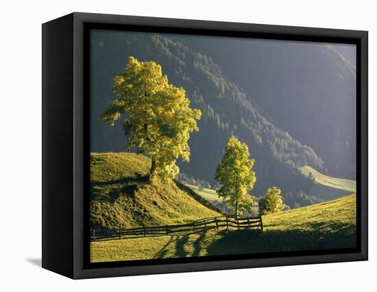 Autumn Scenery, Meadows, Trees-Thonig-Framed Premier Image Canvas