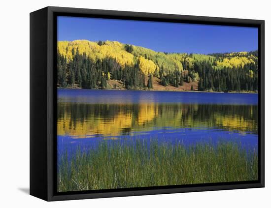 Autumn Scenic at Lost Lake, Gunnison National Forest Colorado, USA-Jaynes Gallery-Framed Premier Image Canvas