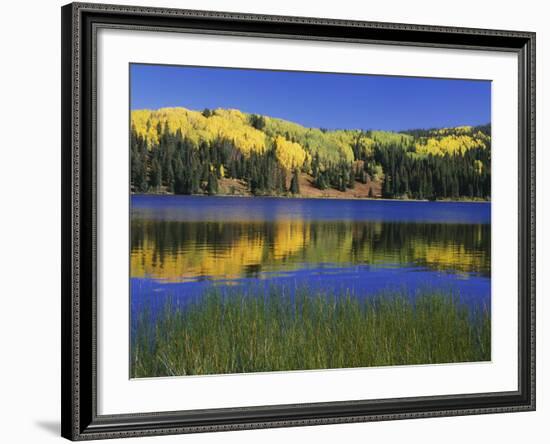 Autumn Scenic at Lost Lake, Gunnison National Forest Colorado, USA-Jaynes Gallery-Framed Photographic Print