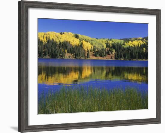 Autumn Scenic at Lost Lake, Gunnison National Forest Colorado, USA-Jaynes Gallery-Framed Photographic Print