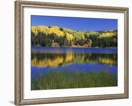 Autumn Scenic at Lost Lake, Gunnison National Forest Colorado, USA-Jaynes Gallery-Framed Photographic Print