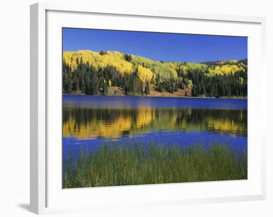 Autumn Scenic at Lost Lake, Gunnison National Forest Colorado, USA-Jaynes Gallery-Framed Photographic Print