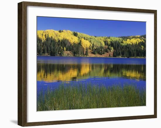 Autumn Scenic at Lost Lake, Gunnison National Forest Colorado, USA-Jaynes Gallery-Framed Photographic Print