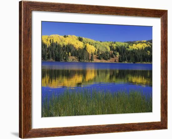 Autumn Scenic at Lost Lake, Gunnison National Forest Colorado, USA-Jaynes Gallery-Framed Photographic Print