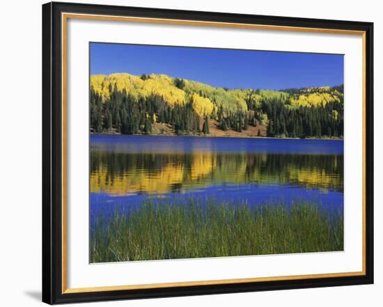 Autumn Scenic at Lost Lake, Gunnison National Forest Colorado, USA-Jaynes Gallery-Framed Photographic Print