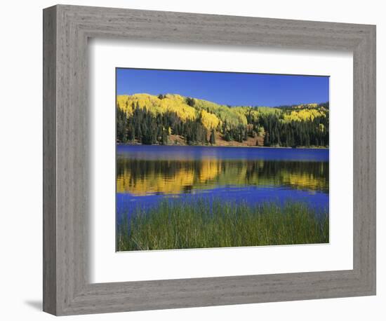 Autumn Scenic at Lost Lake, Gunnison National Forest Colorado, USA-Jaynes Gallery-Framed Photographic Print