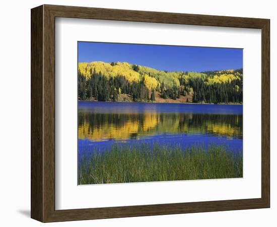 Autumn Scenic at Lost Lake, Gunnison National Forest Colorado, USA-Jaynes Gallery-Framed Photographic Print