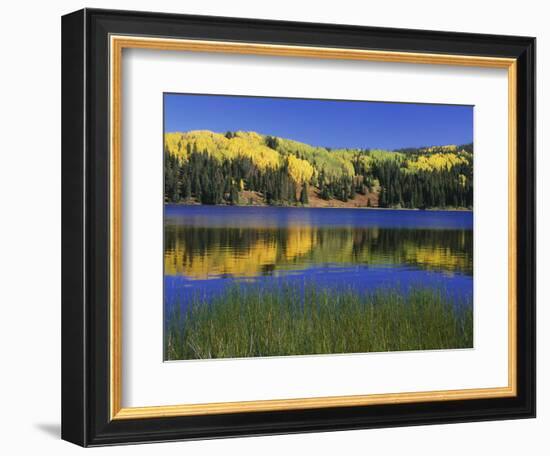 Autumn Scenic at Lost Lake, Gunnison National Forest Colorado, USA-Jaynes Gallery-Framed Photographic Print