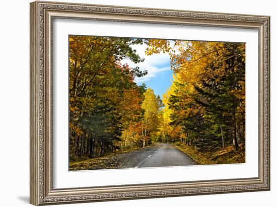 Autumn Scenic Drive, Acadia, Maine-George Oze-Framed Photographic Print