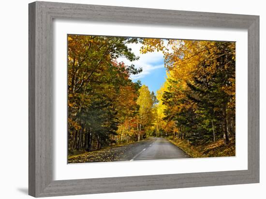 Autumn Scenic Drive, Acadia, Maine-George Oze-Framed Photographic Print