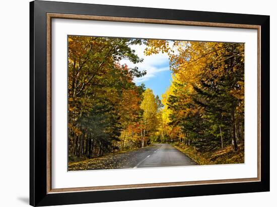 Autumn Scenic Drive, Acadia, Maine-George Oze-Framed Photographic Print