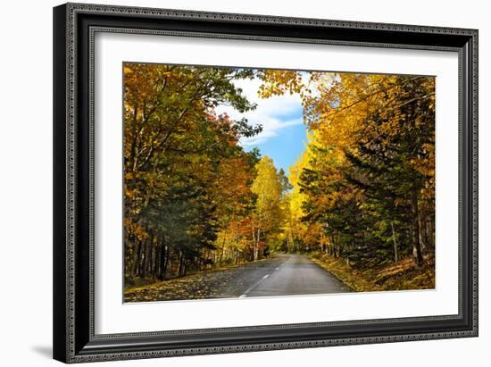 Autumn Scenic Drive, Acadia, Maine-George Oze-Framed Photographic Print