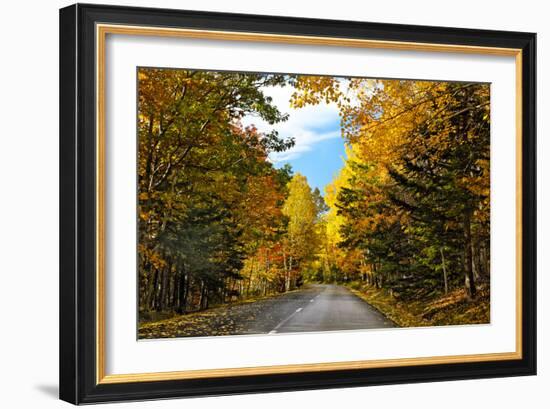 Autumn Scenic Drive, Acadia, Maine-George Oze-Framed Photographic Print