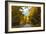Autumn Scenic Drive, Acadia, Maine-George Oze-Framed Photographic Print