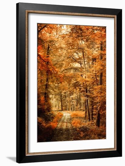 Autumn Secret-Philippe Sainte-Laudy-Framed Photographic Print