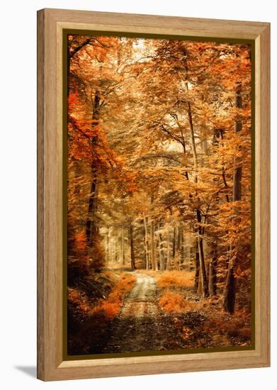 Autumn Secret-Philippe Sainte-Laudy-Framed Premier Image Canvas