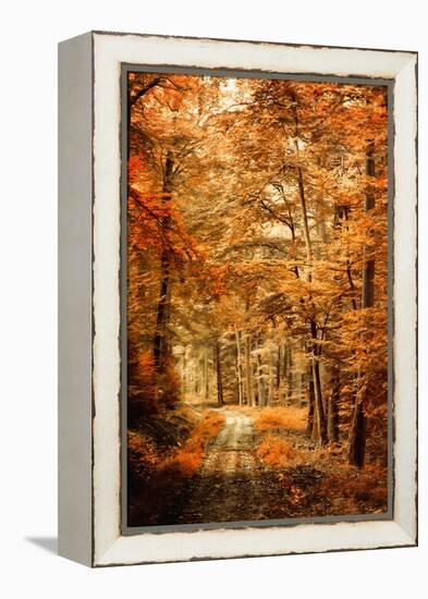 Autumn Secret-Philippe Sainte-Laudy-Framed Premier Image Canvas