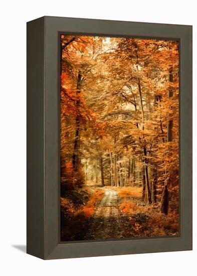 Autumn Secret-Philippe Sainte-Laudy-Framed Premier Image Canvas