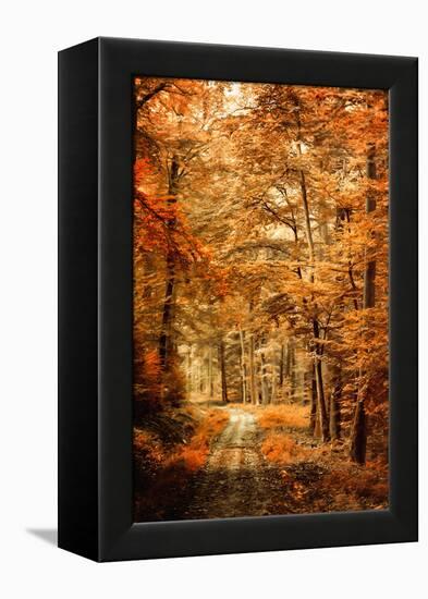 Autumn Secret-Philippe Sainte-Laudy-Framed Premier Image Canvas